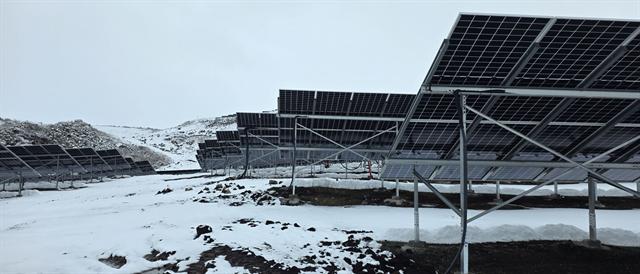 Three plants at -5°C, Armenia: photo 2 of 9