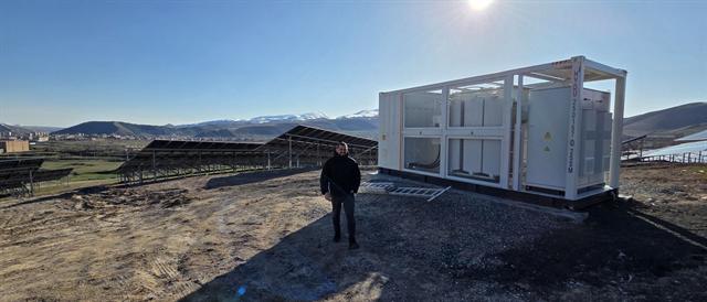 Three plants at -5°C, Armenia: photo 5 of 9