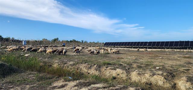 Tracker maintenance, Utility-scale PV plants: photo 5 of 11